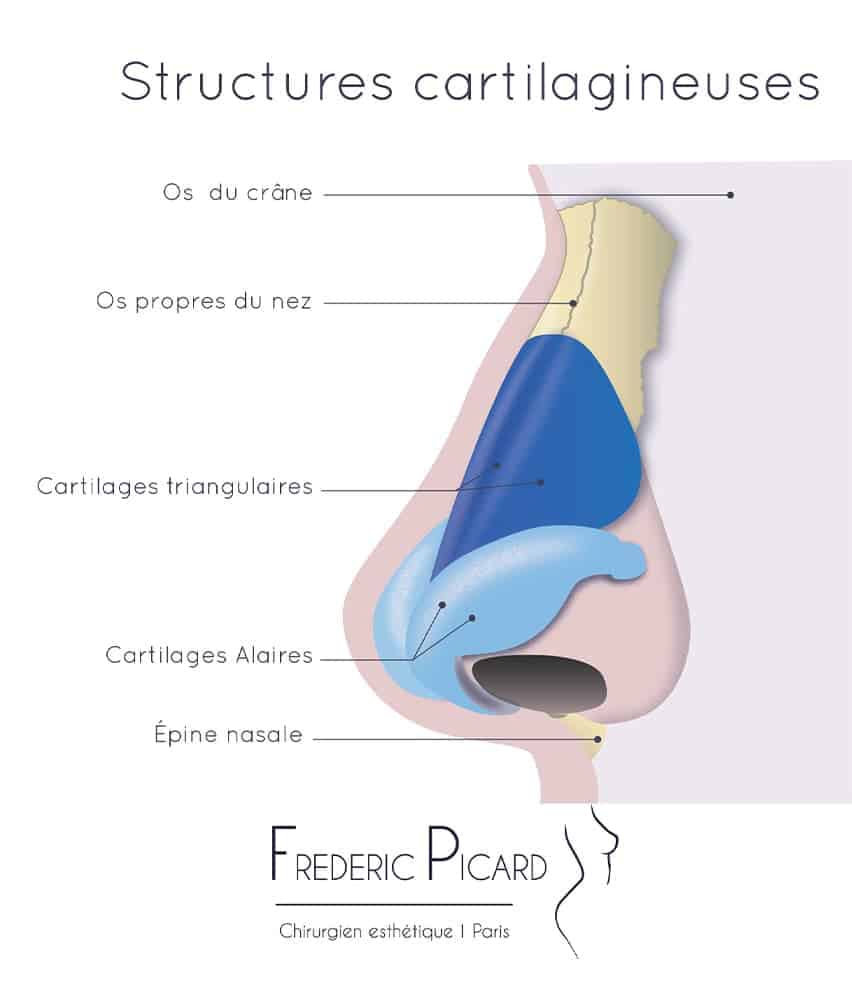 blepharoplastie supérieure paris france chirurgie plastique chirurgien esthetique paris docteur frederic picard paris 16